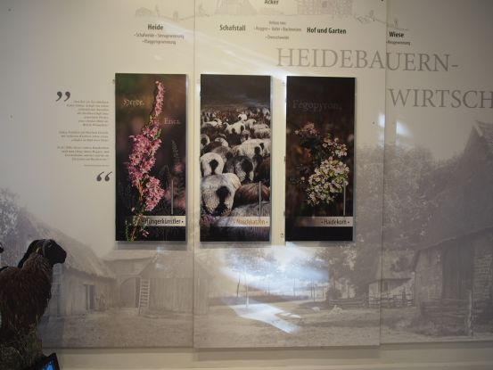 Ausstellung „Zügig in die Zukunft – vom Heidedorf zum Eisenbahnknotenpunkt“, © Geschichts- und Museumsverein Buchholz und Umgebung e.V