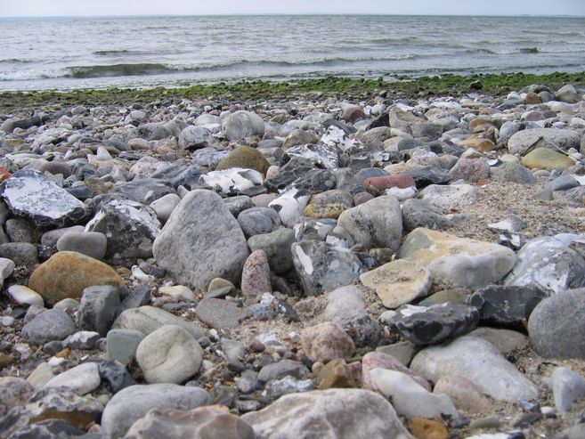 Steiniger Strand mit Blick auf das Meer und Algen am Ufer.