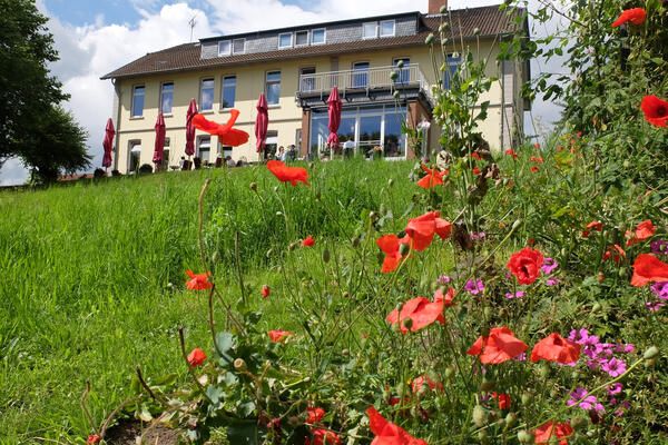 Ein Café mit Terrasse und roten Sonnenschirmen, umgeben von einer Wiese mit blühenden Mohnblumen.