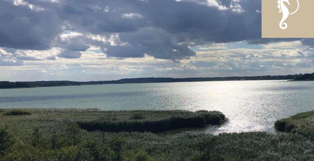 Fischwanderung