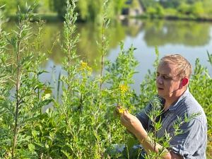Eine Person sitzt am Ufer eines Sees und betrachtet Pflanzen.