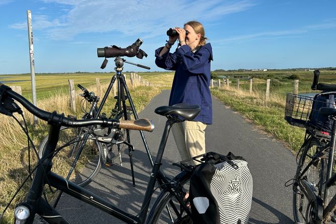 Fahrradtour durch den Speicherkoog