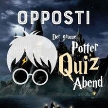 Poster für einen Harry Potter Quiz-Abend mit Schloss im Hintergrund.