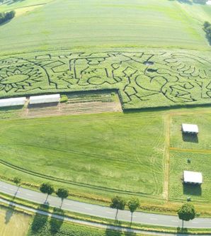 Maislabyrinth Baven