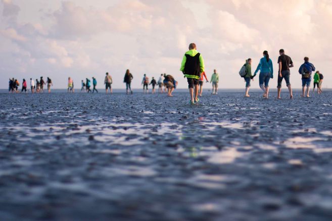 Watt für Einsteiger: Kurze Wattwanderung in Büsum
