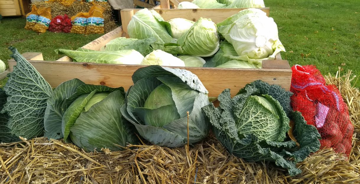 Verschiedene Kohlsorten und Kartoffeln auf einem Wochenmarkt.