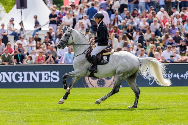 Tageskarte Sonntag Springen 2026