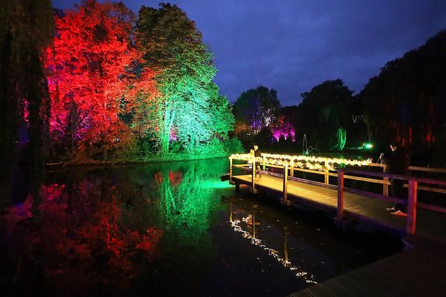 Ein beleuchteter Park mit bunten Lichtern, die Bäume und einen Steg am Wasser erhellen.