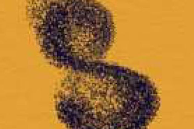 Stegreif - Orchester feel:free