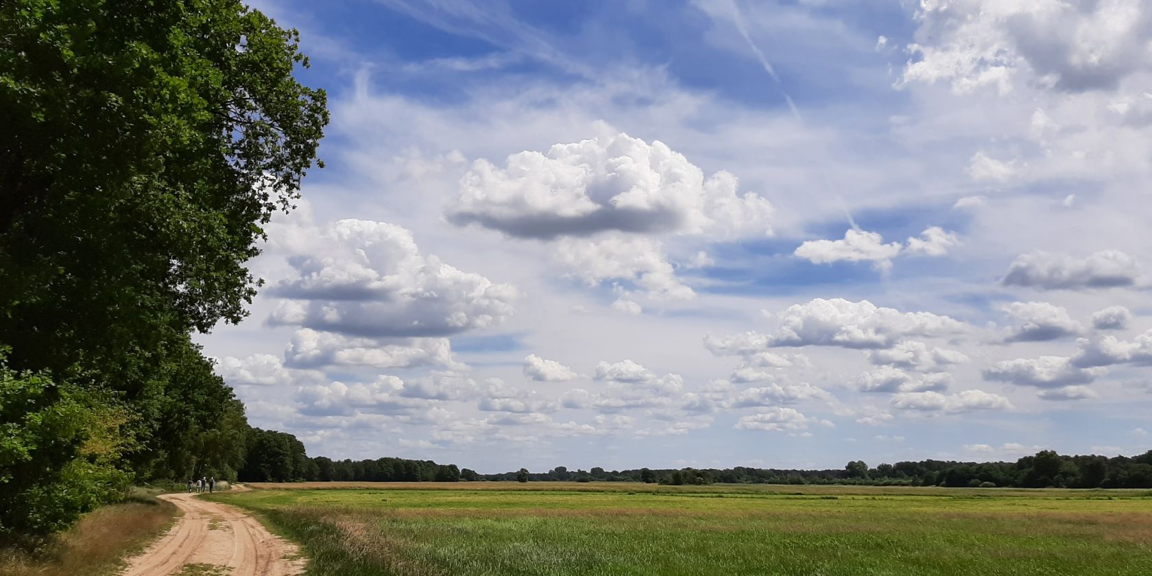 Der Weg, © gehStein