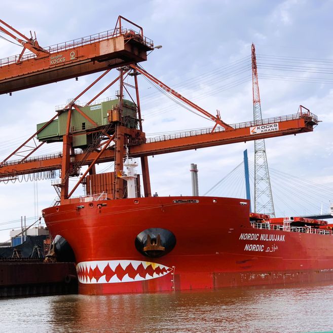 Bulk Carrier am Kai