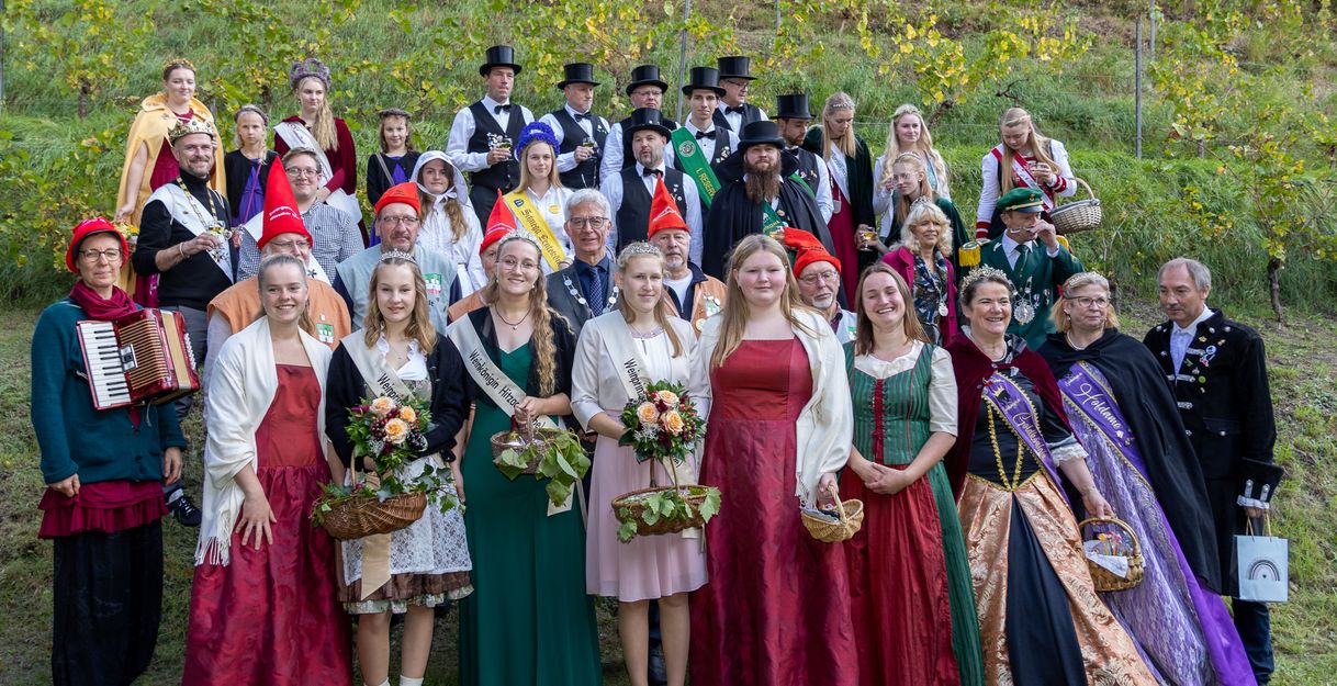 Weinlese