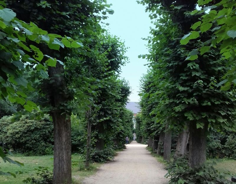 Wohlerspark im Sommer 2018