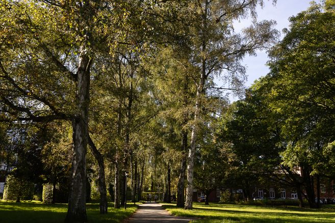 Park der Stiftung Anscharhöhe