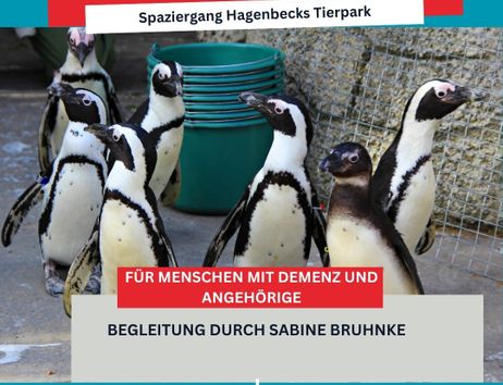8 Pinguine im Gehege von Hagenbeck 