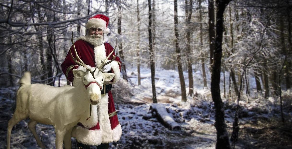 Bild von Ron Porter auf Pixabay