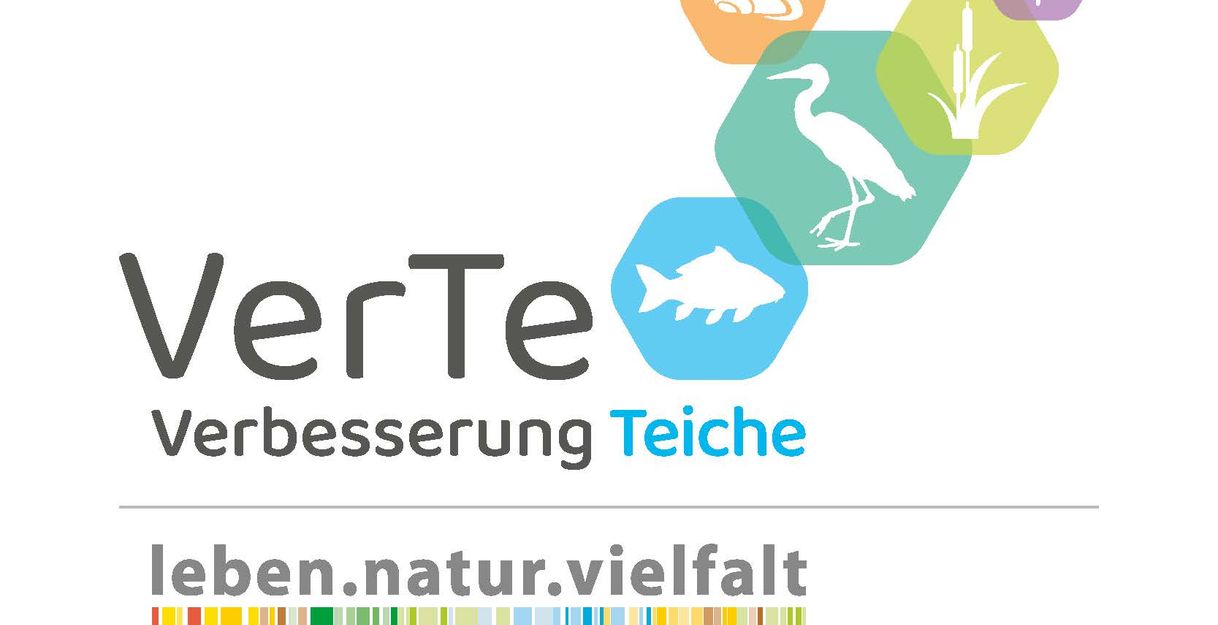 Logo des Projekts VerTe - Verbesserung Teiche mit Symbolen von Tieren und Pflanzen.