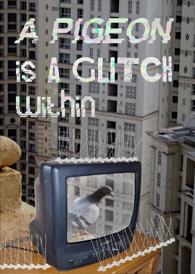 Ein Fernseher zeigt eine Taube vor einem Hochhaus. Der Text 'A Pigeon is a Glitch Within' ist darübergelegt.