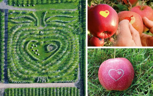 Hofführung auf dem Herzapfelhof mit Besuch des Herz-Apfel-Gartens, © Herzapfelhof Lühs und Martin Elsen