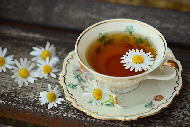 Eine Tasse Tee mit einer schwimmenden Gänseblümchenblüte auf einer Untertasse, umgeben von Gänseblümchen auf einer Holzbank.