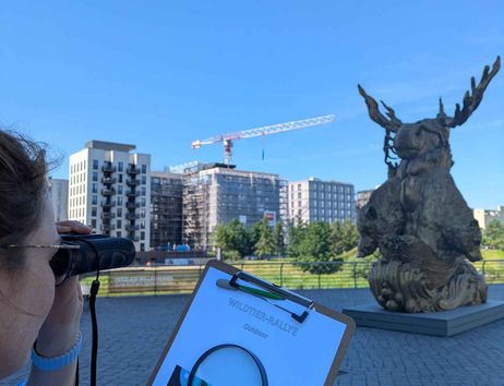 Ausblick von der Ausstellung "Botschaft der Wildtier" schaut man in Richtung Hafen. Im Vordergrund sind die Mateialien der Rally zu sehen.