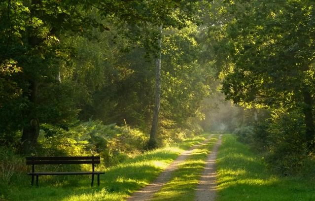 GESUND & ENTSPANNT - Waldbaden, © Tourismus-Service Kellenhusen