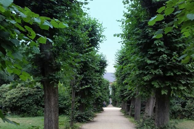 Wohlerspark im Sommer 2018