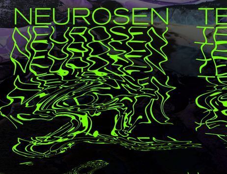 IM NEUROSENTEICH