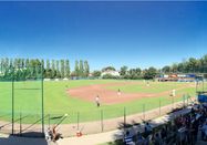 Baseballclub Hamburg Stealers e.V. /  Maximilian Schlatterer