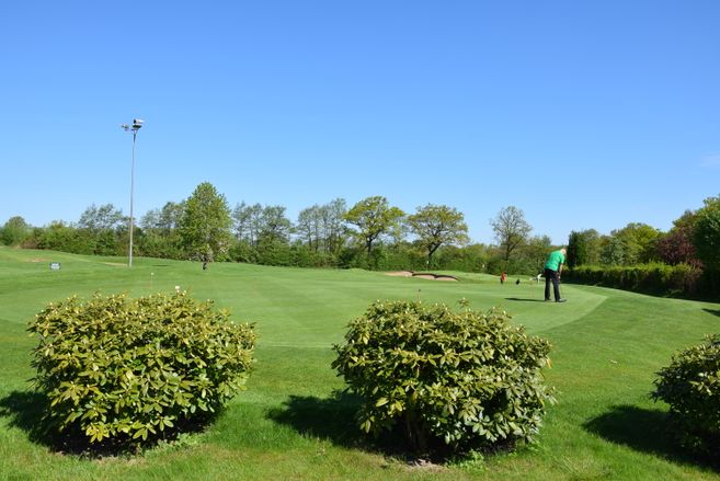 Ein Golfer auf einem Übungsgrün bei sonnigem Wetter, umgeben von Büschen und Bäumen.