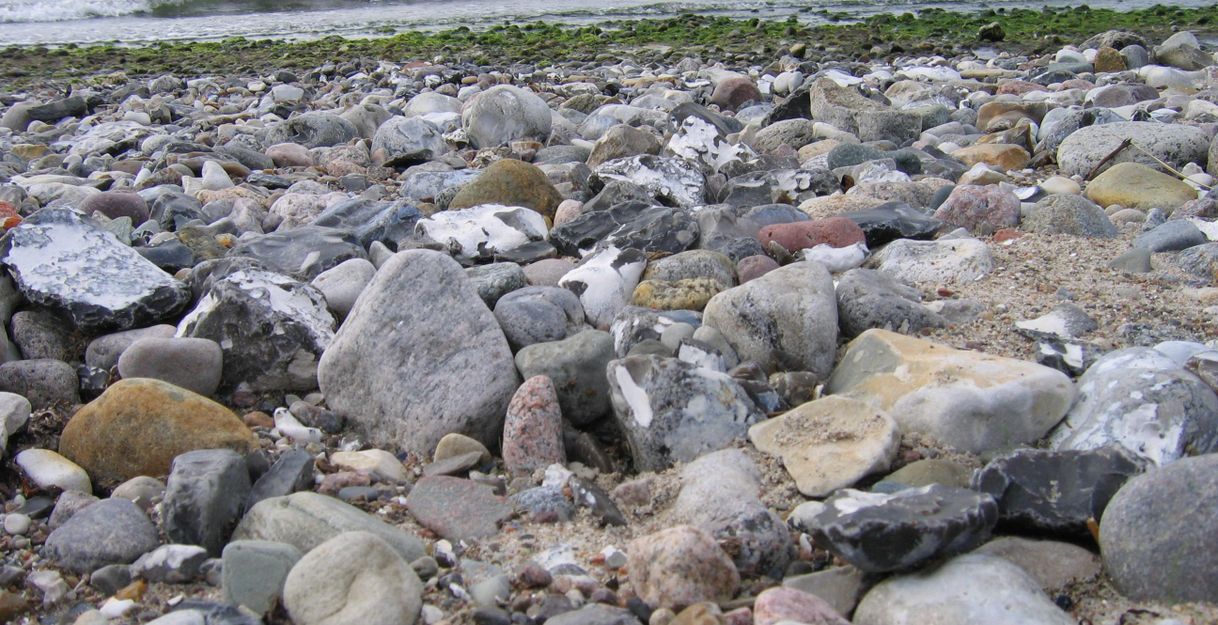 Steiniger Strand mit Blick auf das Meer und Algen am Ufer.
