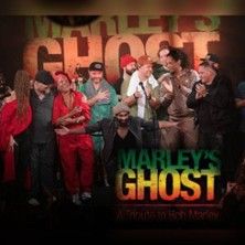 Gruppe von Musikern auf der Bühne bei einem Bob Marley Tribute-Konzert.