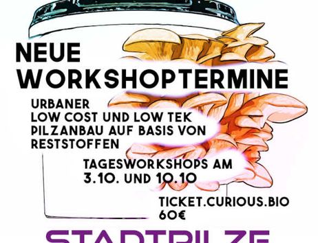 Ein Pilzeimer mit dem Stadtpilze Logo und dem Hinweis auf neue Workshoptermine im Oktober 2026