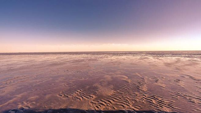 Weite Wattlandschaft bei Sonnenaufgang mit sanften Farben am Himmel.