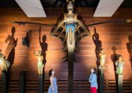 SHMH Sinje Hasheider