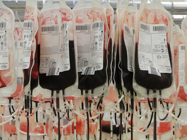 Mehrere Blutbeutel hängen in einer Reihe, gefüllt mit Blut und beschriftet mit Etiketten.