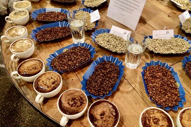 Grüne Rohkaffeemuster, Röstkaffee und aufgebrühter Kaffee in Tassen zum Verkosten