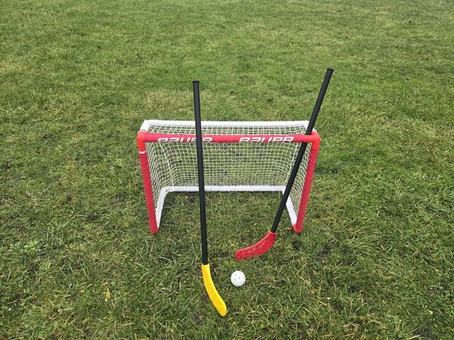 Ein kleines Hockeytor auf einer Wiese mit zwei Hockeyschlägern und einem Ball davor.