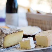 Weinseminar Käse und Wein - Deutschland