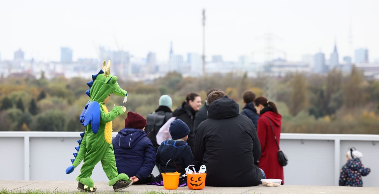 Aussicht vom Energieberg Georgswerder. Ein Kind imm Dino-Kostüm läuft durchs Bild.
