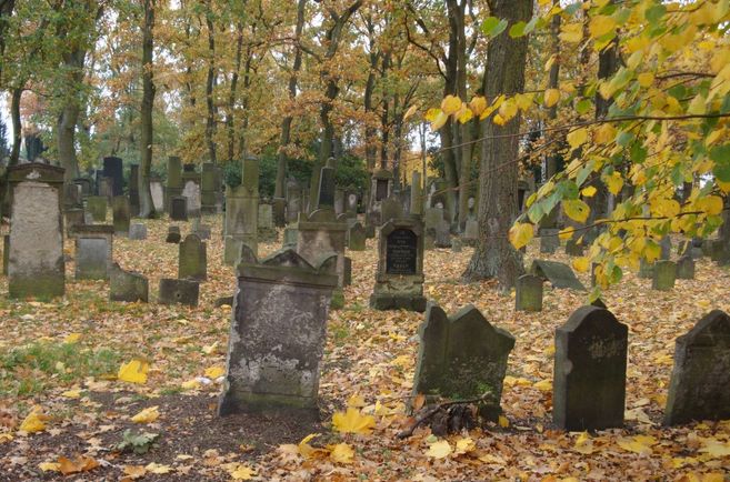 Friedhof Langenfelde