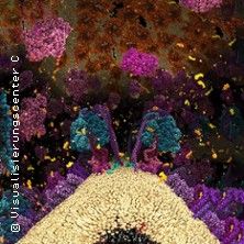 3D-Darstellung von Molekülen und Zellstrukturen in lebendigen Farben.