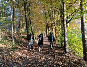 Drei Personen wandern im Herbst durch einen Waldweg, umgeben von buntem Laub.