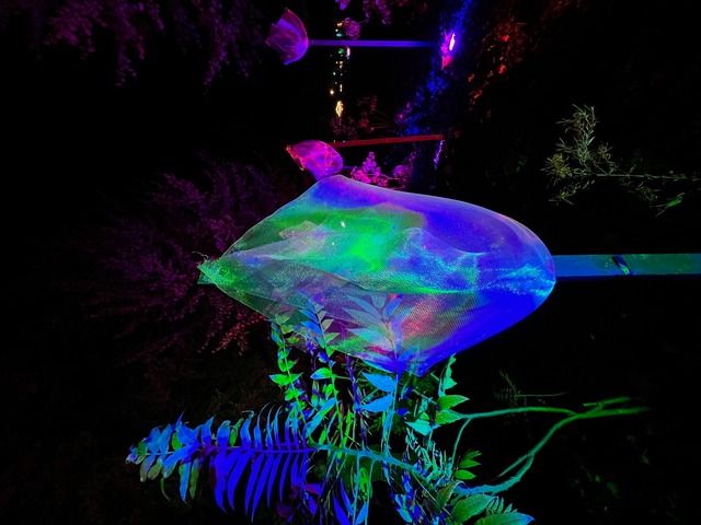 Der Nordstrand leuchtet 2.0