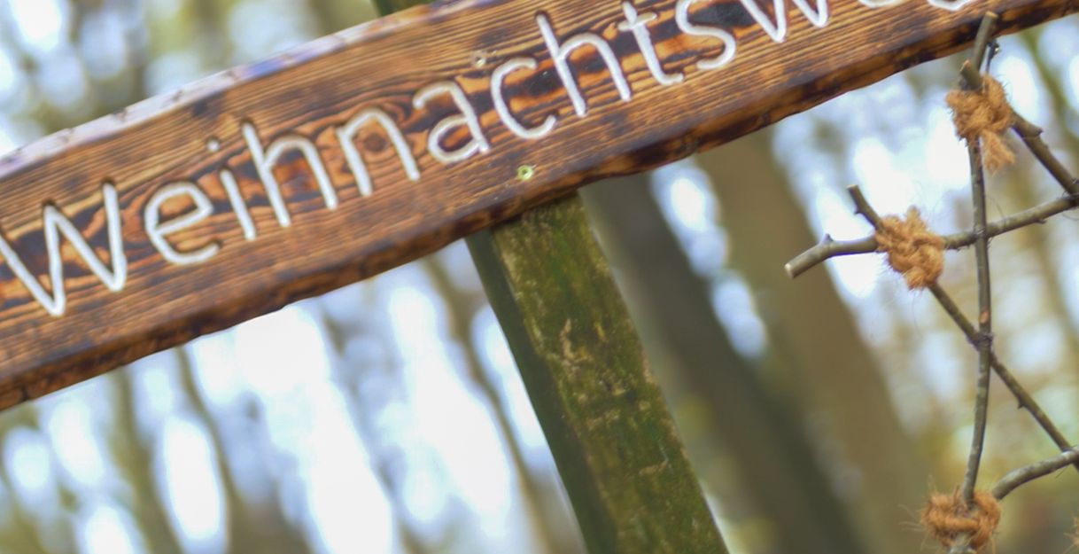 Beginn des Weihnachtswaldweges