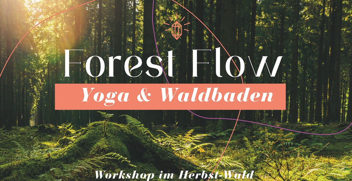 Forest Flow: Yoga und Waldbaden in der Natur mit Waldimpuls-Hamburg