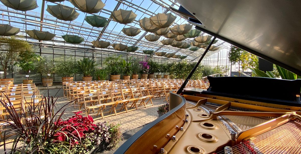 Blick durch einen geöffneten Konzertflügel in die Stuhlreihen im Gewächshaus des Botanischen Gartens anlässlich eines Konzertes