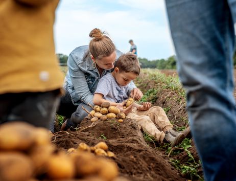Mutter mit Kind buddelt Bio-Kartoffeln auf dem Gut Wulksfelde