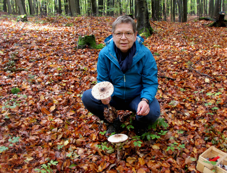Person im Wald mit Pilzen in der Hand, umgeben von Herbstlaub.