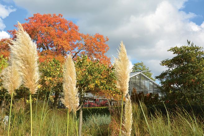 Der Garten im Ehren im Spätsommer